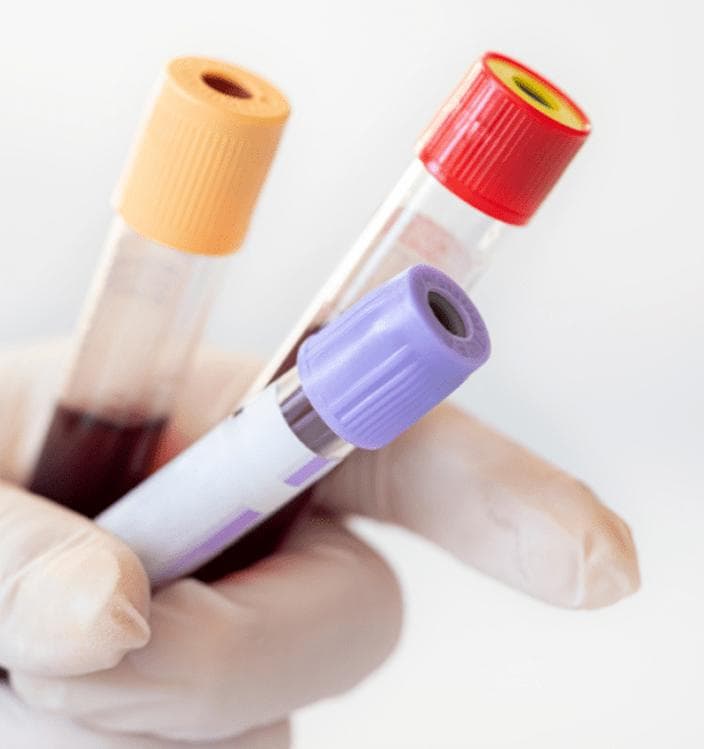 Лікар оглядає кота